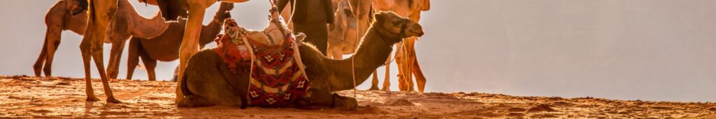 copertina articolo riposarsi Visranti Yogare