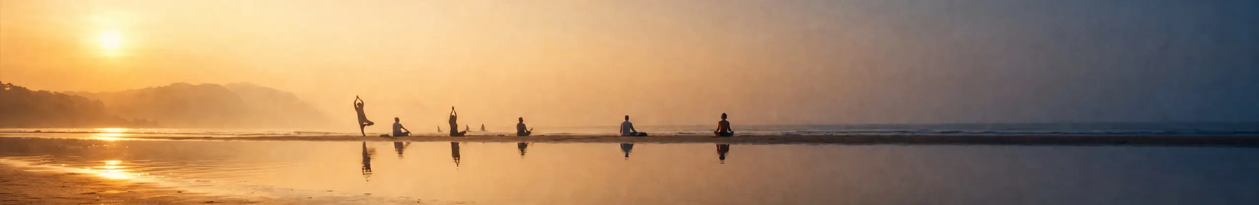 india con yogare_2550x416-1